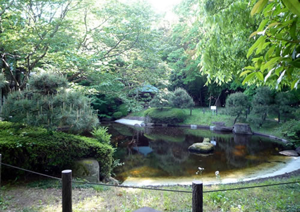 緑に囲まれた南多摩斎場の庭園と池を葬儀屋さんのゆいまーるが府中市案内ページ用に紹介している